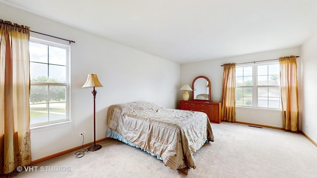 315 Hubbard Cir, Plano, IL 60545 - photo 30