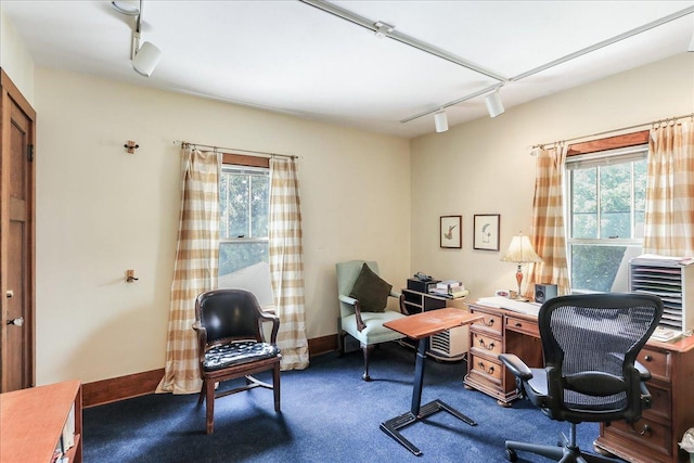 124 Harrison St, Barrington, IL 60010 - photo 21