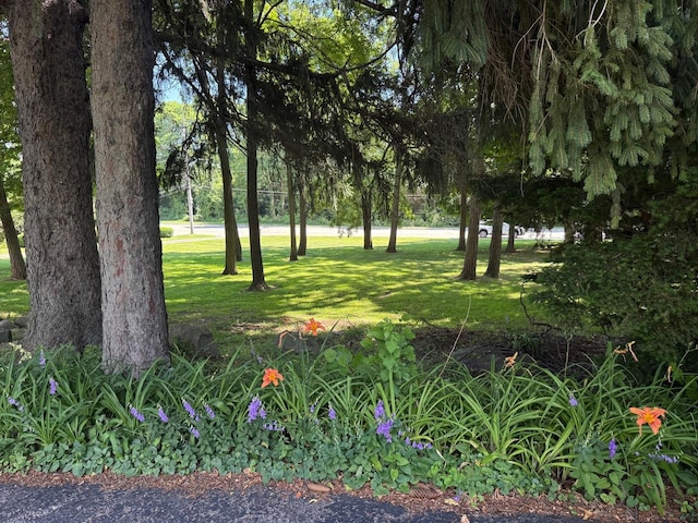 1318 Sheridan Rd, Winthrop Harbor, IL 60096 - photo 21