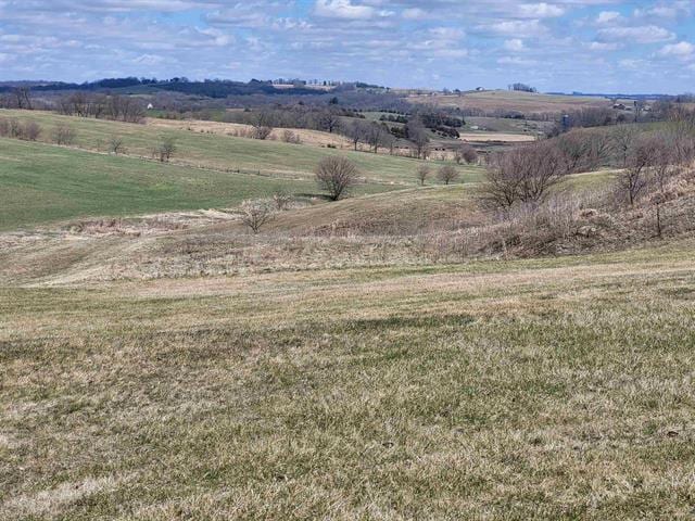 3183 W Mitchell Rd, Hanover, IL 61041 - photo 59