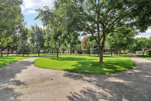 1107 E Algonquin Rd Unit 4, Arlington Heights, IL 60005 - photo 12
