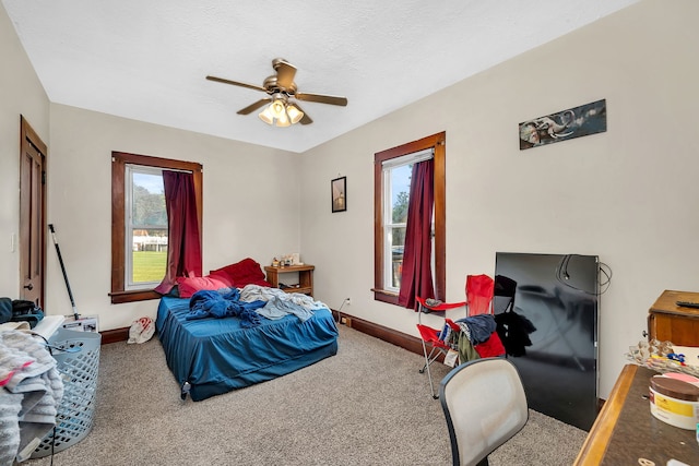 309 E Elk St, Odell, IL 60460 - photo 11