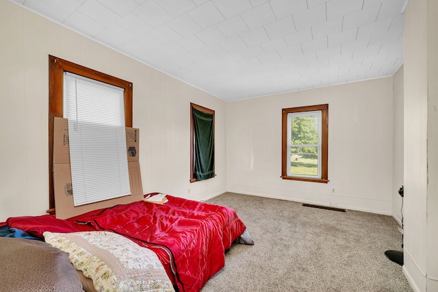 309 E Elk St, Odell, IL 60460 - photo 12