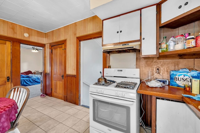 309 E Elk St, Odell, IL 60460 - photo 8