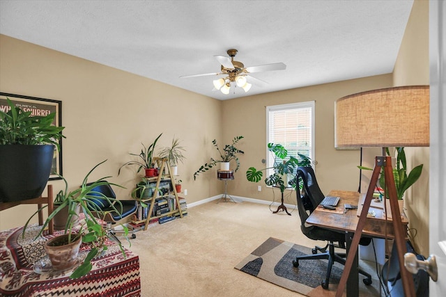 303 Dropseed Dr, Savoy, IL 61874 - photo 39