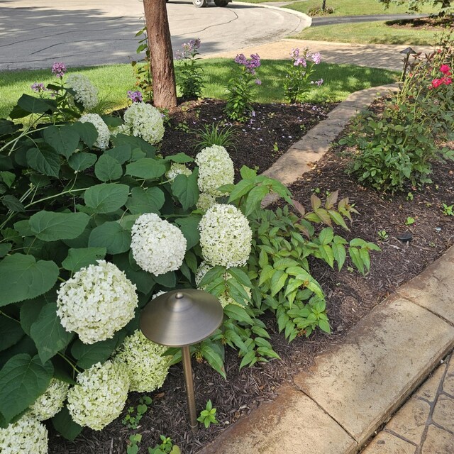 1417 Sherwood Ln, Geneva, IL 60134 - photo 9