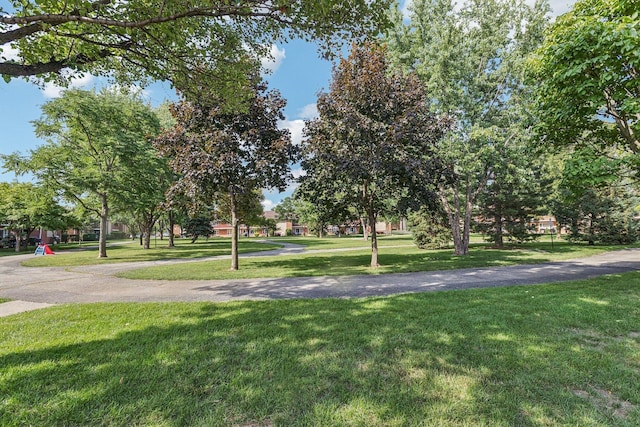 1115 E Algonquin Rd Unit 8, Arlington Heights, IL 60005 - photo 11
