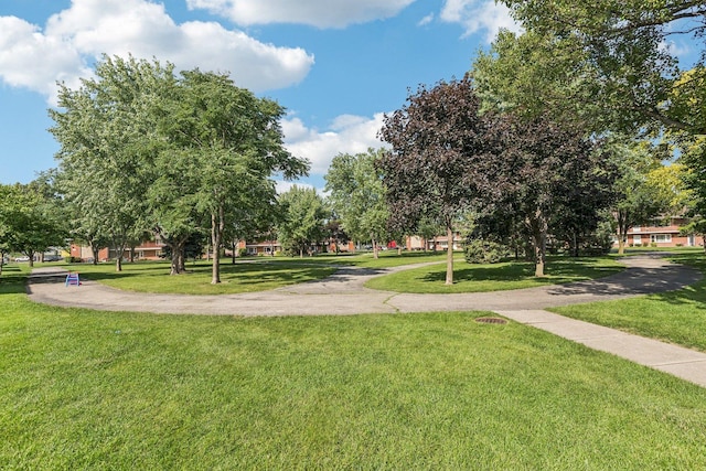 1115 E Algonquin Rd Unit 8, Arlington Heights, IL 60005 - photo 10