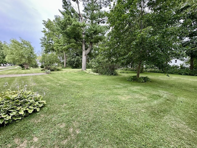 107 E Center St, Mount Morris, IL 61054 - photo 3