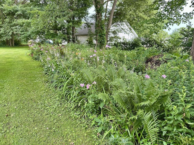 107 E Center St, Mount Morris, IL 61054 - photo 4
