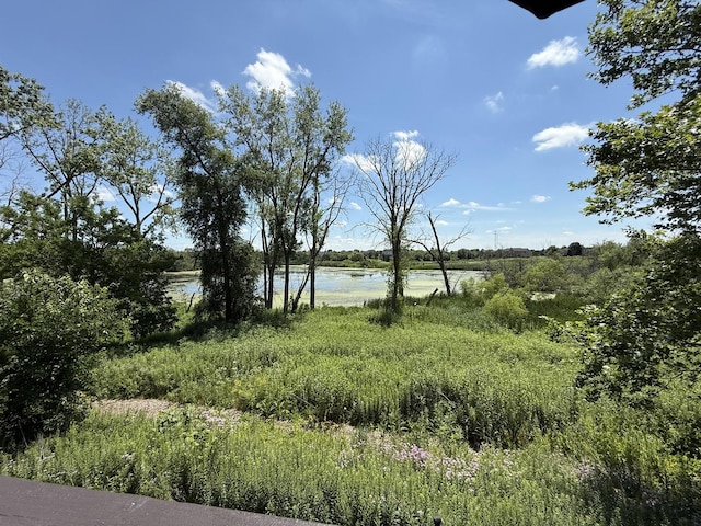 23 Harborside Way, Hawthorn Woods, IL 60047 - photo 56