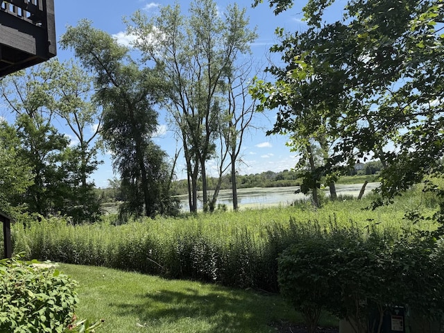 23 Harborside Way, Hawthorn Woods, IL 60047 - photo 7
