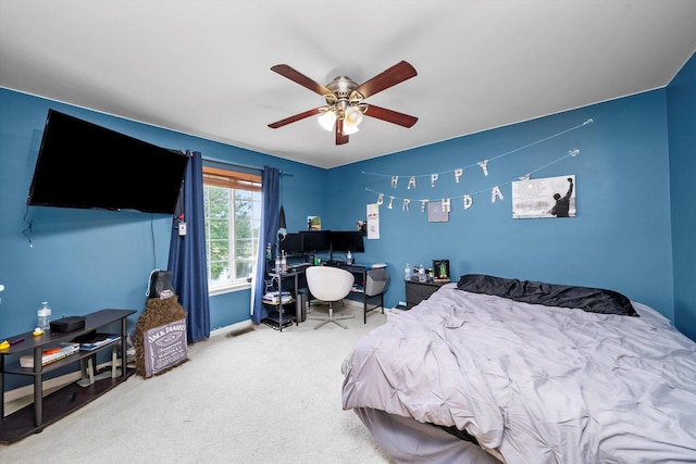 615 Silver Leaf Dr, Joliet, IL 60431 - photo 25