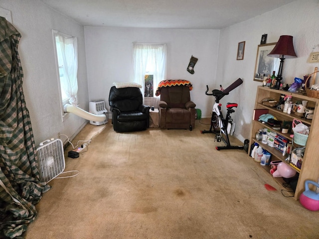 1010 Maplecrest St, Joliet, IL 60432 - photo 2