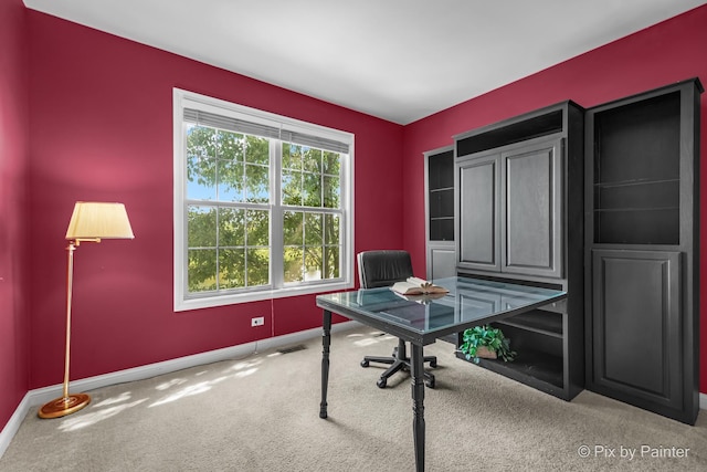 1357 Grantham Dr, Schaumburg, IL 60193 - photo 10