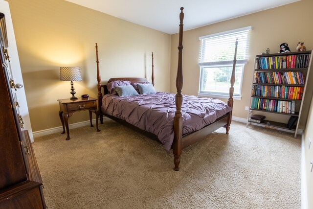 635 N Deer Run Dr Unit 635, Palatine, IL 60067 - photo 13
