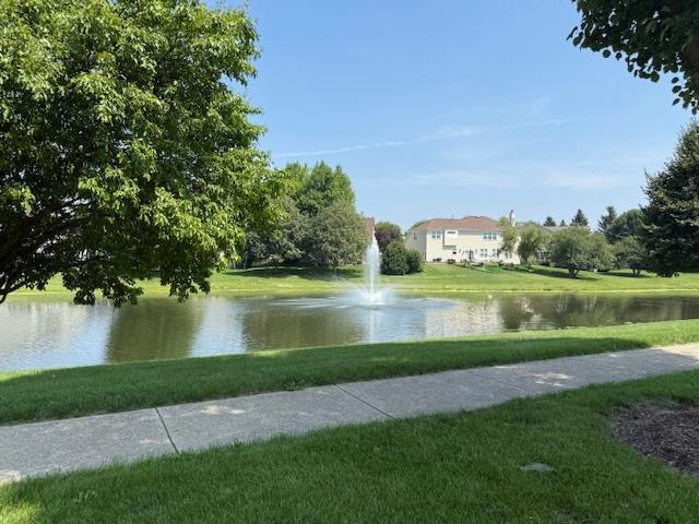 6 Greyshire Ct, Algonquin, IL 60102 - photo 40