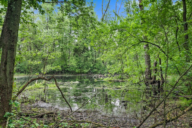 25561 S Pinewood Ln, Monee, IL 60449 - photo 38