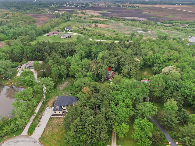 25561 S Pinewood Ln, Monee, IL 60449 - photo 39