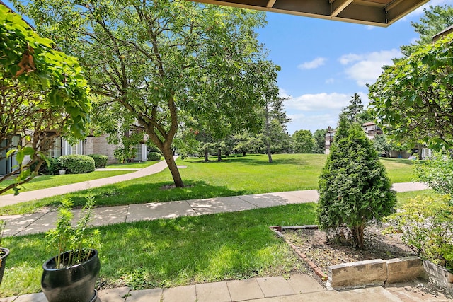 522 E Spruce Dr Unit 1B, Palatine, IL 60074 - photo 15