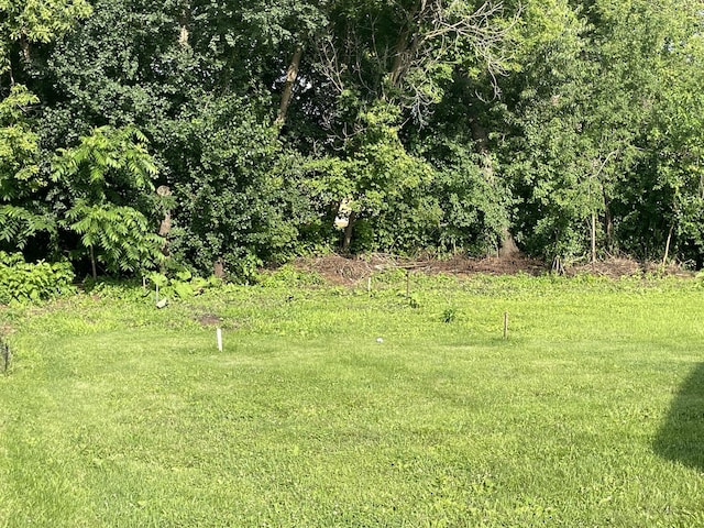 3 N Jefferson St, Harvard, IL 60033 - photo 29
