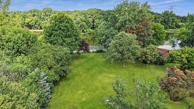 14562 S Hawthorne Ct, Homer Glen, IL 60491 - photo 34