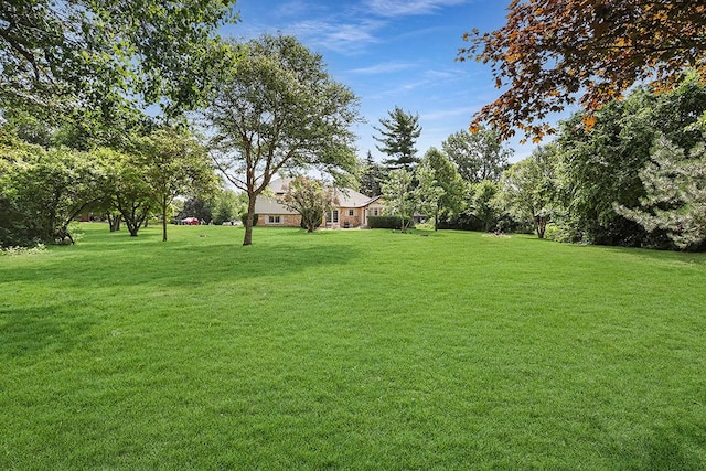 14562 S Hawthorne Ct, Homer Glen, IL 60491 - photo 6