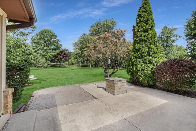 14562 S Hawthorne Ct, Homer Glen, IL 60491 - photo 9