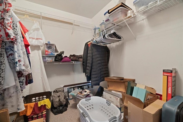13181 W Newcastle Ln, Beach Park, IL 60083 - photo 28