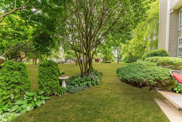 141 Crescent Ln Unit 141, Schaumburg, IL 60193 - photo 33