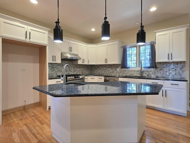 22344 Autumn Dr, Frankfort, IL 60423 - photo 4
