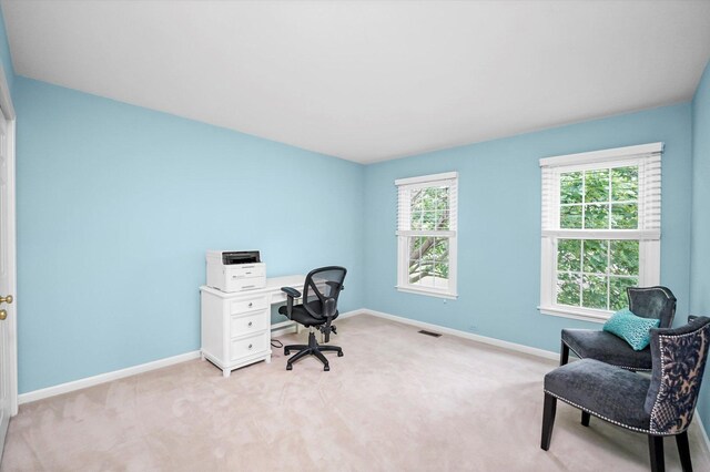 22528 W Thornbury Ct, Deer Park, IL 60010 - photo 33