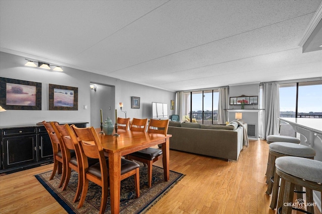 2005 S Finley Rd Unit 1209, Lombard, IL 60148 - photo 6