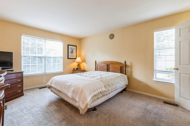 305 Buckingham Cir Unit A, Elgin, IL 60120 - photo 11