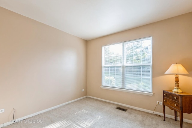 305 Buckingham Cir Unit A, Elgin, IL 60120 - photo 15
