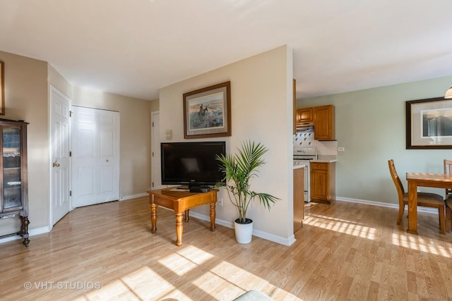 305 Buckingham Cir Unit A, Elgin, IL 60120 - photo 4