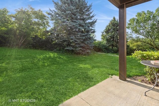 305 Buckingham Cir Unit A, Elgin, IL 60120 - photo 8