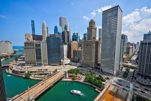 300 N State St Unit 2832, Chicago, IL 60654 - photo 14