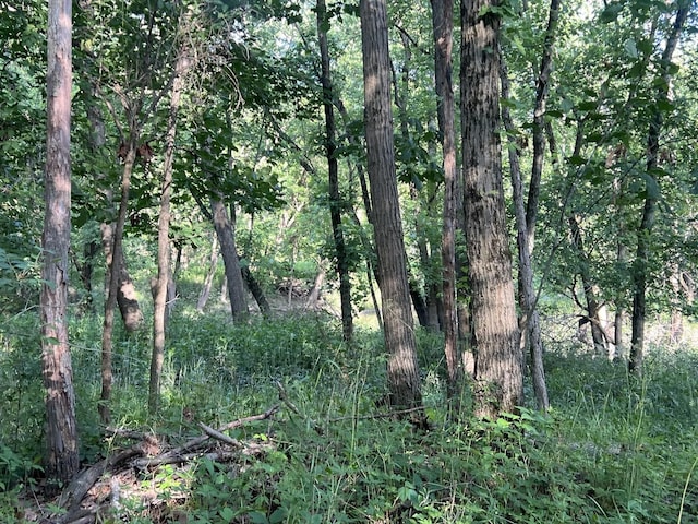 1998 N County Highway 30, Gilman, IL 60938 - photo 12
