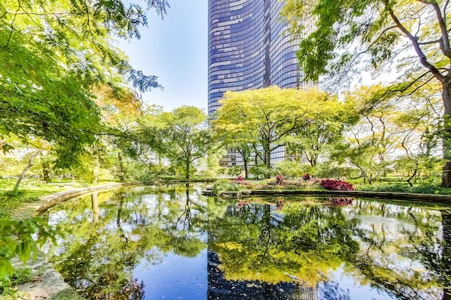 505 N Lake Shore Dr Unit 6404, Chicago, IL 60611 - photo 26