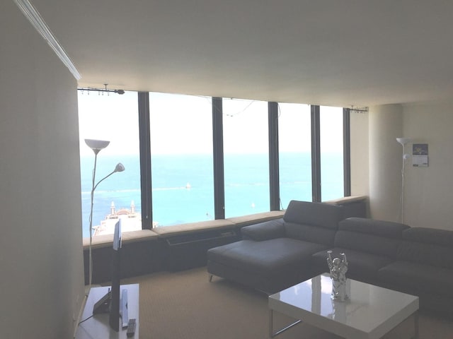 505 N Lake Shore Dr Unit 6404, Chicago, IL 60611 - photo 7
