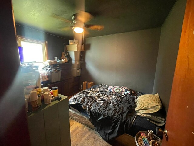 219 S Clinton St, Pittsfield, IL 62363 - photo 5