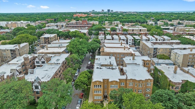 2060 W Fargo Ave Unit 3, Chicago, IL 60645 - photo 19