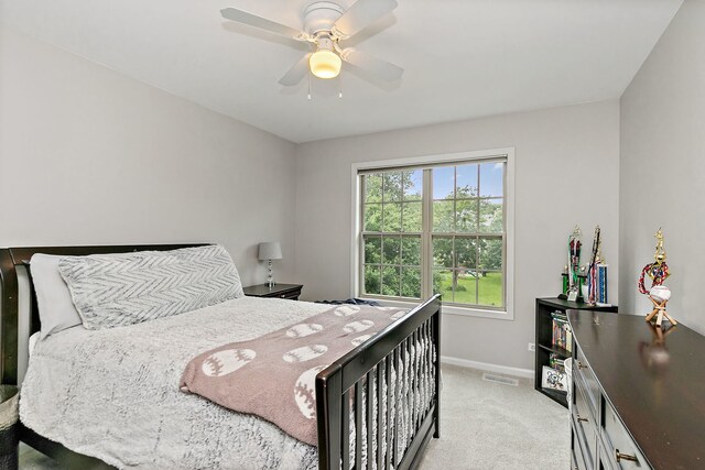1027 Acorn Hill Ln, West Chicago, IL 60185 - photo 17