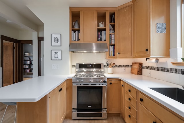 815 Hayes Ave, Oak Park, IL 60302 - photo 14