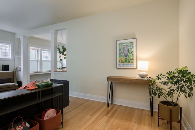815 Hayes Ave, Oak Park, IL 60302 - photo 4