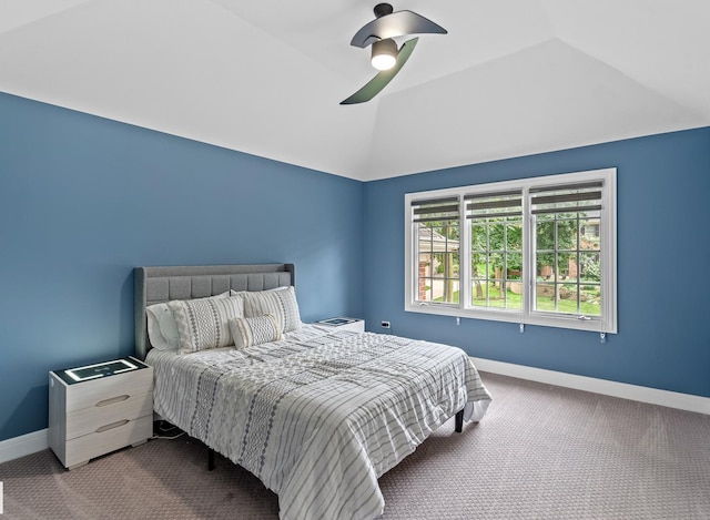 791 Reserve Ct, South Elgin, IL 60177 - photo 28