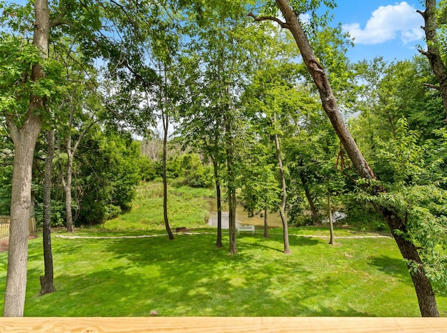 791 Reserve Ct, South Elgin, IL 60177 - photo 37