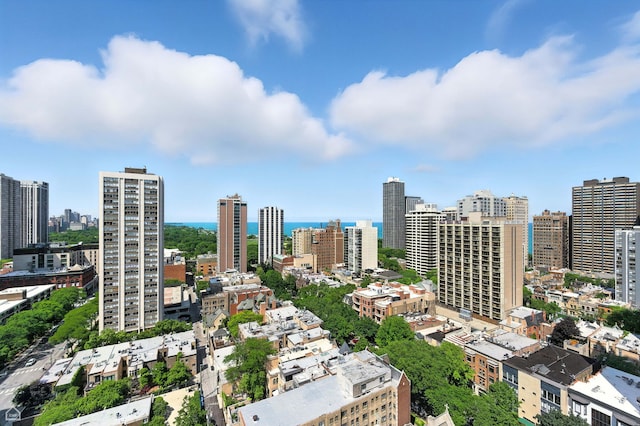 88 W Schiller St Unit 2301, Chicago, IL 60610 - photo 17