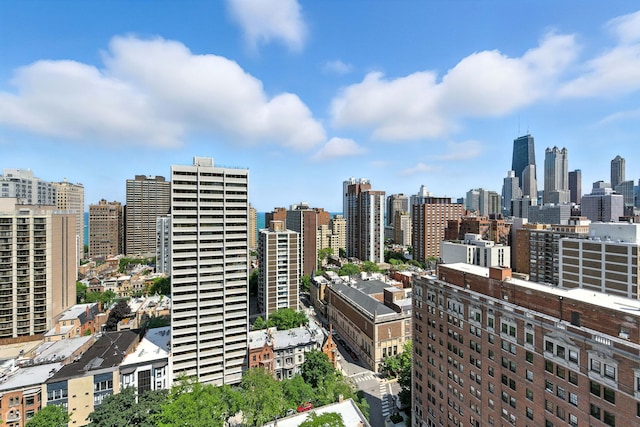 88 W Schiller St Unit 2301, Chicago, IL 60610 - photo 18